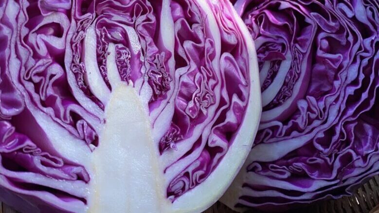 Marinated cabbage-B