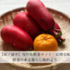 【坂ノ途中】旬のお野菜セット・定期宅配 | 野菜のある暮らしを始めよう！